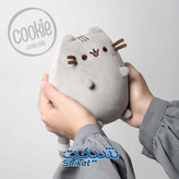 نمای عروسک گربه پوشین